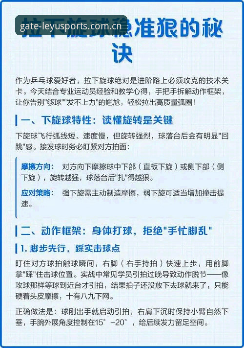 乐鱼官方体育平台功能详解与实战操作指南
